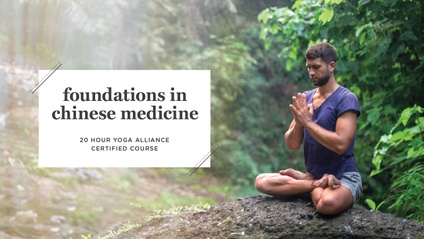 Product image for Foundations in Chinese Medicine: November 13-15, 2020