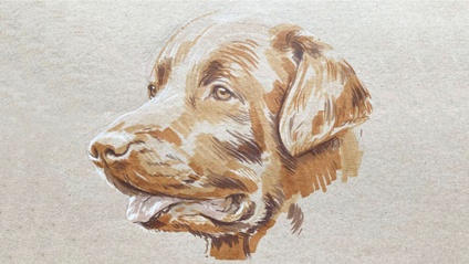 Product image for Tiere zeichnen