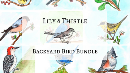 Product image for Backyard Bird Calendar Bundle