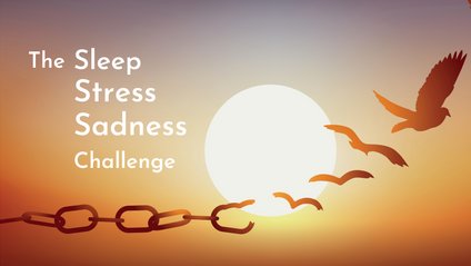 Product image for The Sleep, Stress, & Sadness Challenge