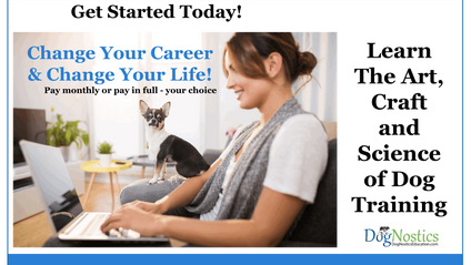 Product image for Become a Certified Dog Training Professional