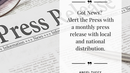 Product image for Powerful Press Releases