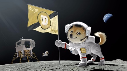 Product image for Much Astronautics.