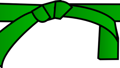 Product image for Adult Green Belt w/ 1 Brown Stripe