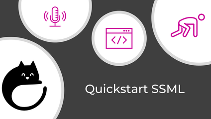 Product image for Quickstart SSML (Dutch only)
