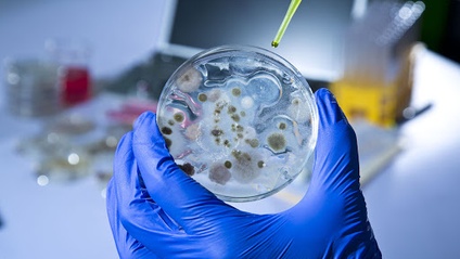 Product image for The Microbiology of Water in a GMP Environment; USP, EP, JP and FDA Requirements for Potable Water, Purified Water, Water for Injection and Steam