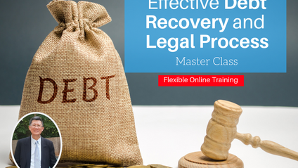Product image for (English) Effective Debt Recovery and Legal Process by Dr. Steven Liew