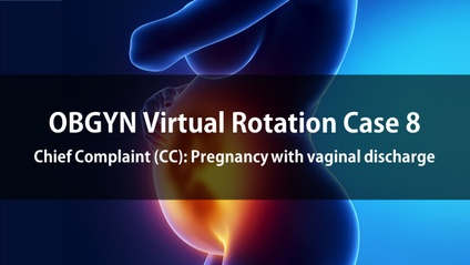 Product image for OBGYN Virtual Rotation Case 8  Chief Complaint (CC): Pregnancy with vaginal discharge