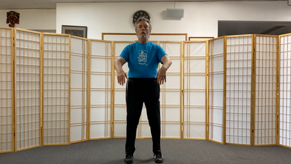Product image for Taiji Qi Gong with Bill Helm