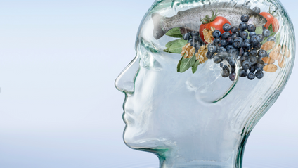 Product image for Santé mentale et microbiote