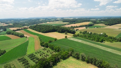 Product image for Rodale Institute Virtual Field Day