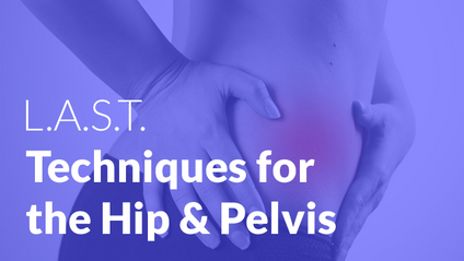 Product image for Robert Libbey Pelvis Course