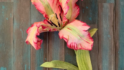 Product image for Paper Parrot Tulip