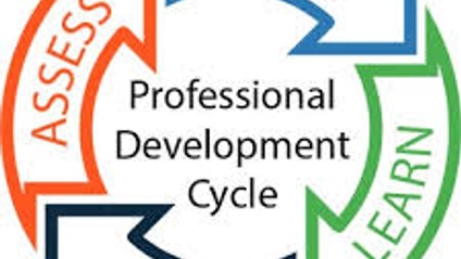 Product image for Professional Development Series