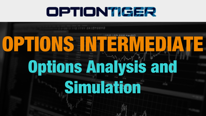 Product image for Options Analysis Simulation