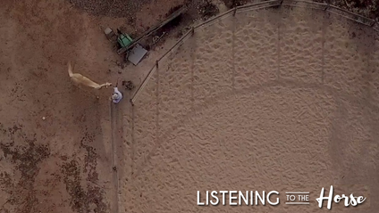 Product image for Listening to the Horse: Movie, Bonus Footage and Biographies by Grey Pony Films (with 36 months access)