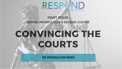 Product image for CCAW 2020:Part 4: Convincing The Courts
