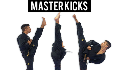 Product image for Master Kicks