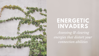 Product image for 1.4 Energetic Invaders