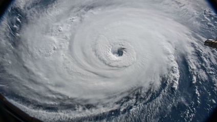 Product image for Hurricane Readiness in the Midst of COVID-19