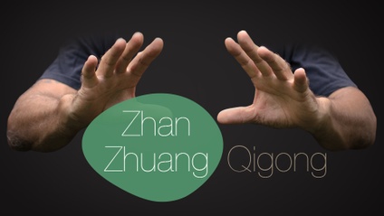 Product image for Level 1 Zhan Zhuang Qigong Course
