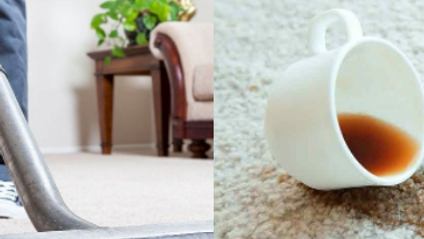Product image for BUNDLE 2: Basic Carpet Cleaning & Basic Stain Removal