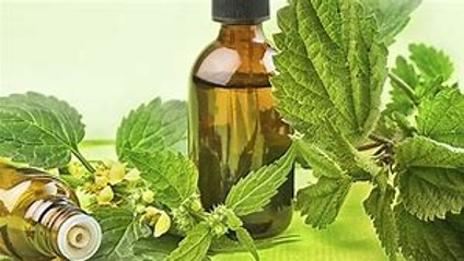 Product image for DIY NATURAL  LIVING WITH SHELLY