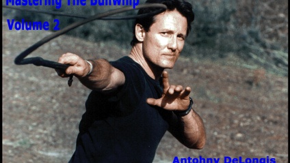 Product image for Mastering The Bullwhip Volume 2