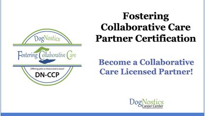 Product image for Become a Collaborative Care Partner