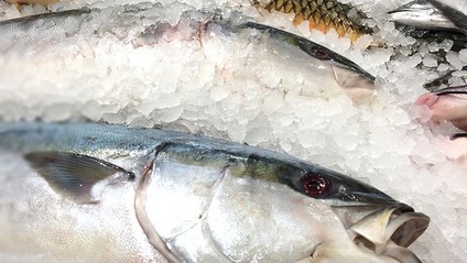 Product image for Online Seafood HACCP Training