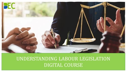 Product image for Understanding Labour Legislation