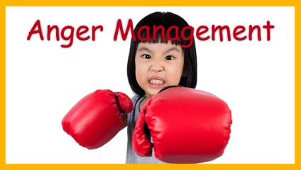 Product image for Anger｜生氣的情緒管理