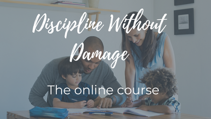 Product image for Discipline Without Damage: The Online Course