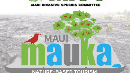 Product image for Maui Mauka Conservation Awareness Training ~ Maui Invasive Species Committee