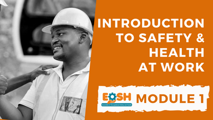Product image for Introduction to Safety and Health at Work