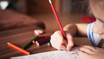 Product image for How to Homeschool Like A Pro