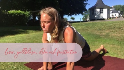 Product image for Lever, gallblåsa, ilska och frustration