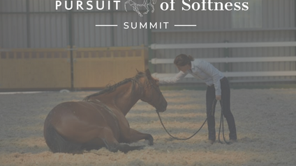 Product image for Pursuit of Softness Summit (with 36 months access)