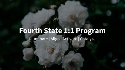 Product image for The Fourth State Program - 15 weeks