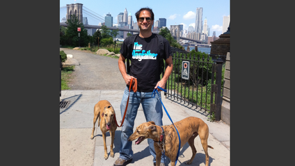 Product image for Leash walking