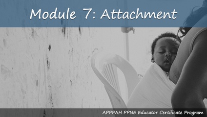 Product image for Module 7: Attachment