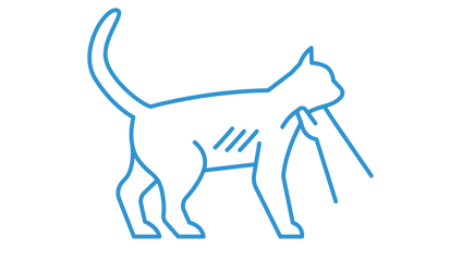 Product image for Feline Hyperthyroidism