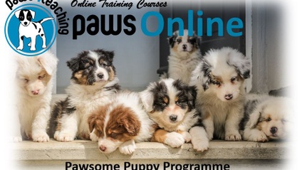 Product image for Pawsome Puppy Programme