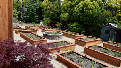 Product image for How to start a SUCCESSFUL organic garden