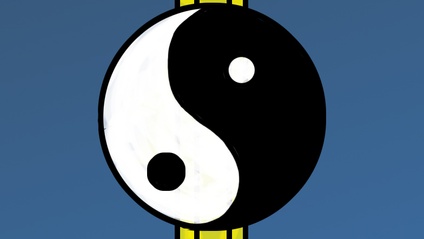 Product image for The Art of Draw Fu: Beginners Level