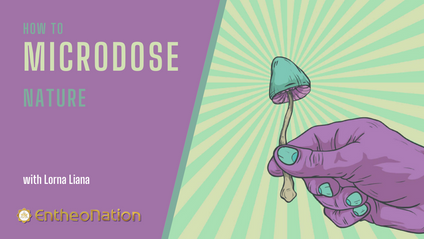 Product image for How to Microdose Nature