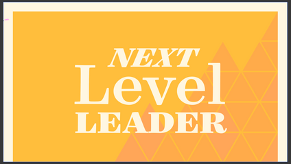 Product image for Next Level Leader
