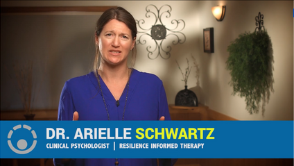 Product image for Navigating Trauma