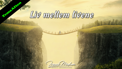 Product image for Liv mellem livene.