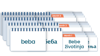 Product image for Doman Method Digital Reading Materials in Serbian: 2 Alphabets